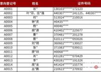 深圳樓盤604套千萬豪宅一天賣光 前100號網友就選完了
