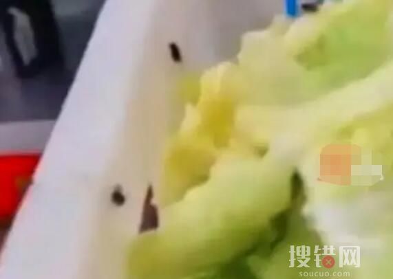 中學食堂后廚爬滿蒼蠅 教育局回應 到底是不是真的？