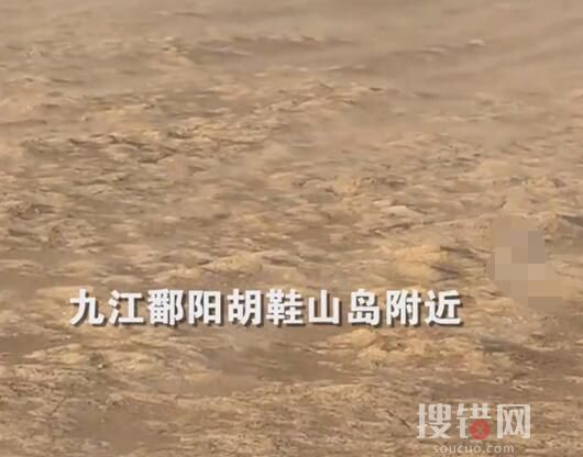 江西干旱已超70天:鄱陽湖刮沙塵暴 原因竟是這樣實在太無奈了