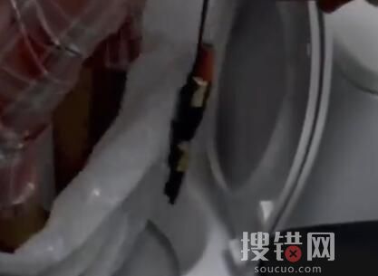 愛沙尼亞電視臺教人用塑料袋如廁 原因竟是這樣太無奈