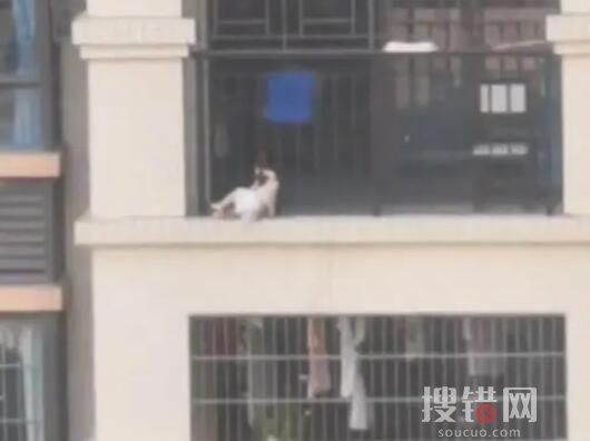 鄰居徒手爬8樓護欄救被卡小寶寶 原因竟是這樣實在令人后怕