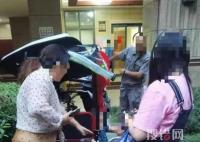 哈士奇從天而降砸傷老人孩子 始料未及真相簡直令人震驚