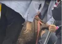 濟南一男子地鐵上暈倒 自述沒錢吃飯 原因竟是這樣太無奈了