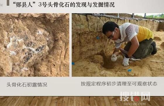 湖北發現距今百萬年人類頭骨化石 究竟是什么年代的？