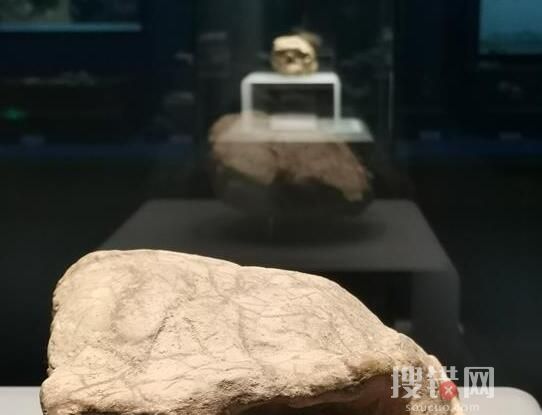 湖北發(fā)現(xiàn)距今百萬(wàn)年人類(lèi)頭骨化石 究竟是什么年代的？