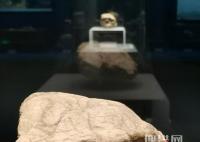 湖北發(fā)現(xiàn)距今百萬(wàn)年人類頭骨化石 始料未及真相簡(jiǎn)直令人震驚