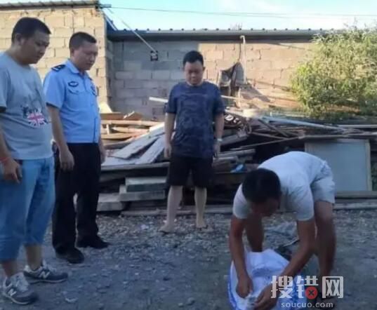 女孩網購毒蛇當寵物 一個月后身亡 為什么異寵傷人事件屢屢發生？