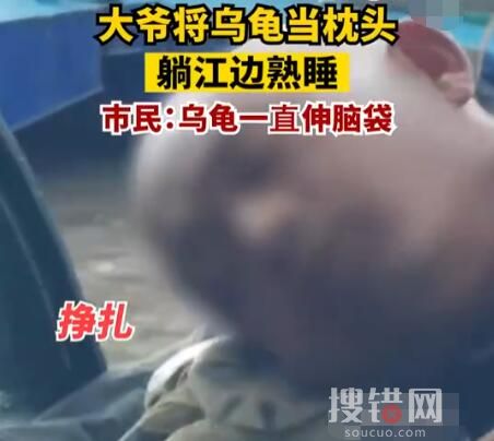 大爺將烏龜當枕頭躺江邊熟睡 到底是什么情況？