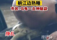 大爺將烏龜當枕頭躺江邊熟睡 原因竟是這樣簡直太無語了
