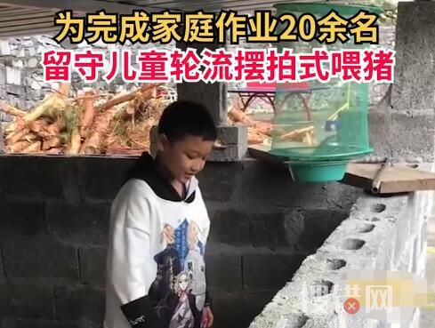 20余名留守娃輪流擺拍喂豬完成作業 會配合老師完成作業