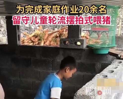 20余名留守娃輪流擺拍喂豬完成作業 會配合老師完成作業