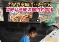 20余名留守娃輪流擺拍喂豬完成作業(yè) 隔兩三秒擺拍一下