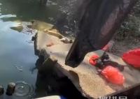 男子釣魚救下被裹塑料袋扔河里的貓 實(shí)在太感人了