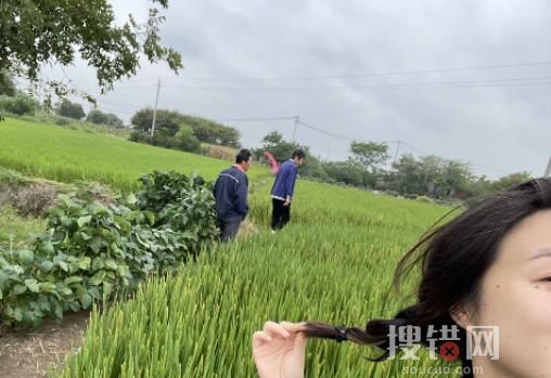 95后女孩休學后進山當農民 原因竟是這樣簡直太崩潰了
