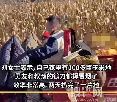 男子帶父親花2天幫女友家收玉米 究竟是怎么回事？