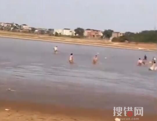 市民到鄱陽湖撿魚 官方:很危險 內幕曝光簡直太意外了