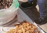 單親媽媽冷風中帶女兒路邊賣干菜 內幕曝光簡直太暖心了