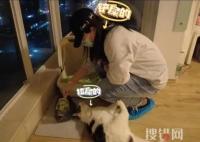 年輕人假期兼職圖鑒 內(nèi)幕曝光簡直太意外了