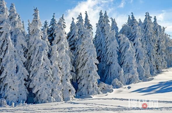 遼寧大雪最新消息2022 遼寧多地大雪 積雪深處沒過腳踝