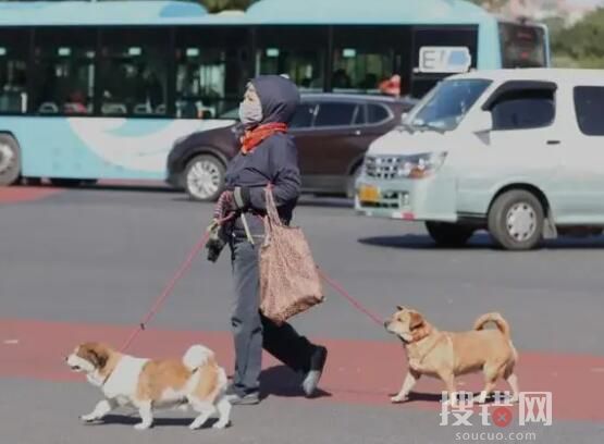 這個冬天會出現極端寒潮嗎? 究竟是怎么回事？