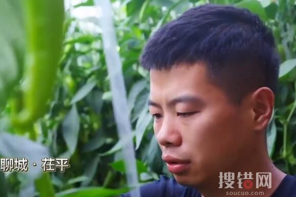 山東一村8090后全部回村就業(yè) 種辣椒賣辣椒年入50萬余元