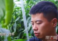 山東一村8090后全部回村就業 回村創業始末詳情最新消息
