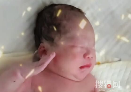 剛出生寶寶被夸一臉正氣后抬手敬禮 始料未及原因太罕見了