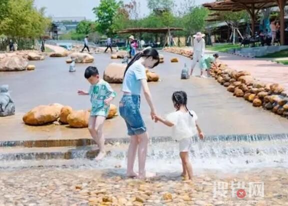 女大學生畢業做保姆:住豪宅月入過萬 究竟是怎么回事？