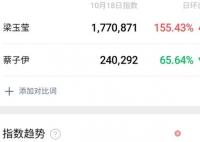 梁玉瑩個人簡歷個人資料簡介