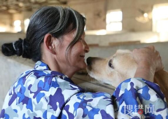 老人救狗20年 欠60萬賣房住親戚家 始料未及真相簡直太感人了