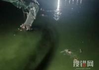 印度吊橋倒塌已致91死 落難者驚叫 原因竟是這樣簡直太悲劇