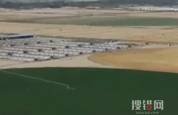 金色沙海也能長出綠色草場 內幕曝光簡直太霸氣了
