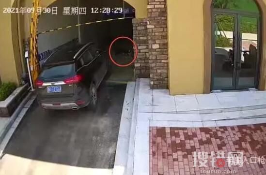 清潔工躺車庫被碾身亡 司機(jī)被判無罪 原因竟是這樣簡直太悲劇