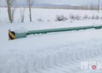 媒體:新疆暴雪 有牧民失聯(lián)牛羊凍死 內(nèi)幕曝光簡直太意外了
