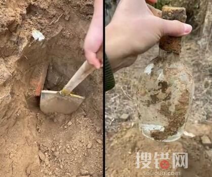 男子4年級時埋白酒打算娶媳婦喝 意外至極真相簡直太驚人