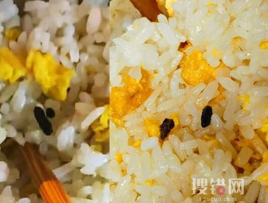 餐館吃出老鼠屎?老板稱飯粒炒焦了 原因竟是這樣實(shí)在驚呆了