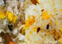 餐館吃出老鼠屎?老板稱飯粒炒焦了 原因竟是這樣實(shí)在驚呆了