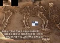 陜西現聚落遺址 西周墓葬有43個殉人 始料未及真相簡直太意外了