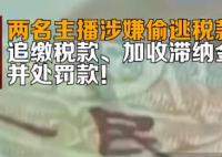 兩名主播涉嫌偷逃稅款被罰 始料未及真相簡直太意外了