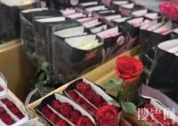 北京鮮花價格“刺手” 玫瑰翻價5倍 始料未及真相簡直太意外了