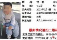 岳陽男童遇難 有村民被警方帶走調查 始料不及真相簡直太意外了