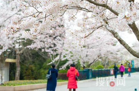大學校門,該打開了 原因竟是這樣讓人意外