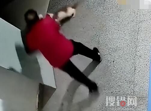 殘疾流浪貓遭老人惡意踢打驅趕 背后真相實在是太意外了
