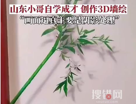 男子自學(xué)3D墻繪三年 畫作逼真簡(jiǎn)直太驚人了
