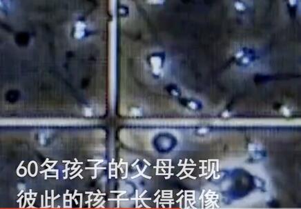 澳男子非法捐精致60個孩子模樣相似 背后真相實在是太驚人了