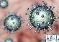 杭州通報10名小學生陽性:首次感染 背后真相實在是驚人