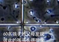 澳男子非法捐精致60個(gè)孩子模樣相似 背后真相實(shí)在是太驚人了