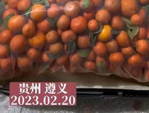 女生帶50斤砂糖橘返校結(jié)果全丟了 女子回應(yīng)實在是又心酸又好笑