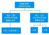 獨(dú)生女繼承父親房產(chǎn) 表兄妹也有份? 真相揭露簡直讓人傻眼了