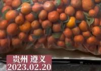 女生帶50斤砂糖橘返校結果全丟了 女子回應實在是又心酸又好笑